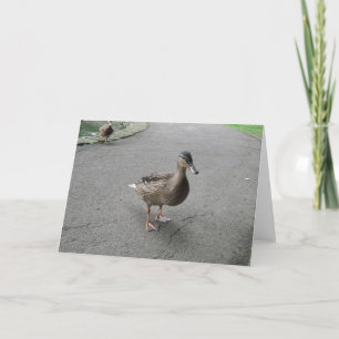 Funny Waddling Duck Birthday Card Karte