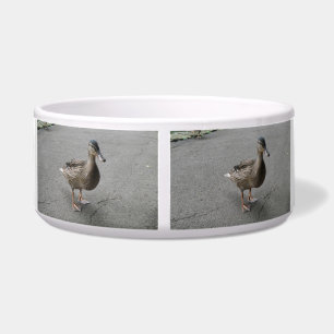 Funny Waddling Duck Dog Bowl Napf