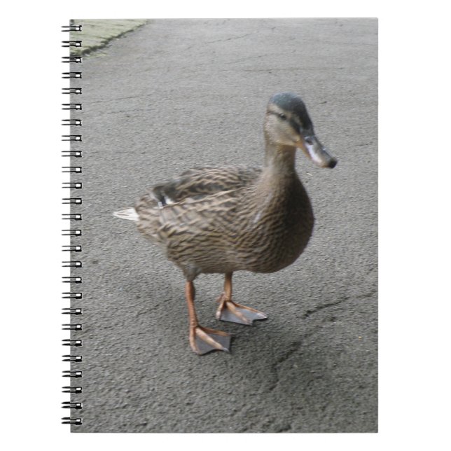Funny Waddling Duck Notebook Notizblock (Vorderseite)