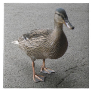 Funny Waddling Duck Tile Fliese