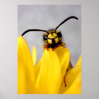 Funny Wasp Posters Poster