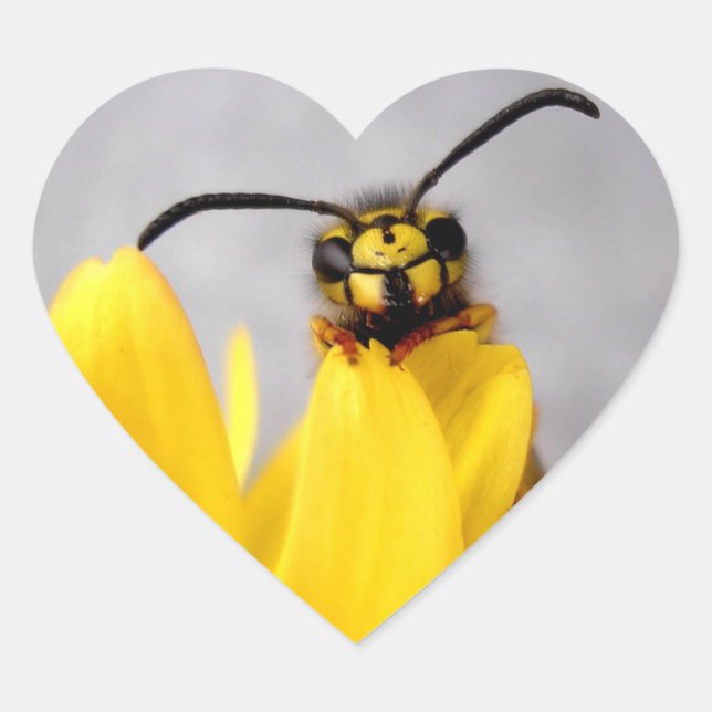 Funny Wasp Sticker (Vorderseite)