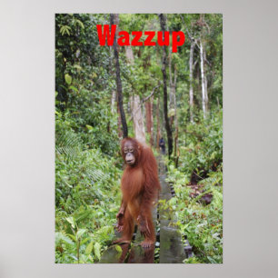 Funny Wazzup mit Krista Orangutan Poster