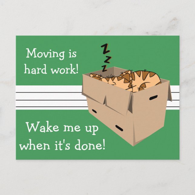 Funny "We are Moving" Cat Neue Ankündigungen (Vorderseite)