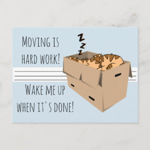 Funny "We are Moving" Cat Neue Ankündigungen