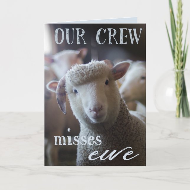 Funny We Miss You Card Foto von Schafen Farm Tiere Karte (Vorderseite)