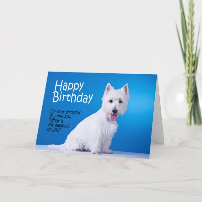 Funny Westie Birthday Card Karte (Vorderseite)