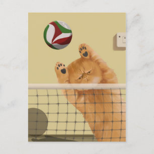 Funny Whimsical spielerisch Katze: Volleyball Postkarte
