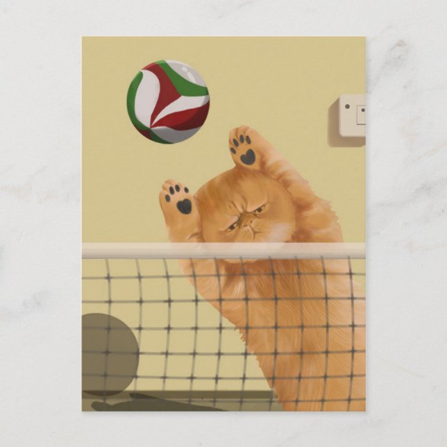 Funny Whimsical spielerisch Katze: Volleyball Postkarte (Vorderseite)