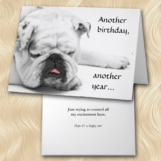 Funny White Bulldog Birthday Karte (Von Creator hochgeladen)