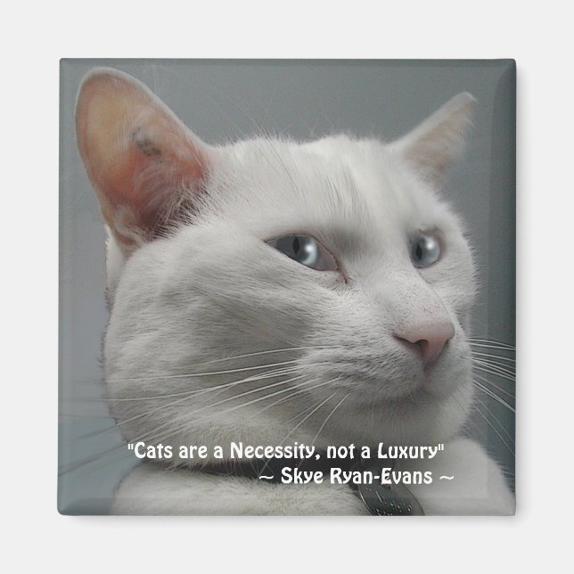 FUNNY WHITE CAT Magnet Serie (Vorne)