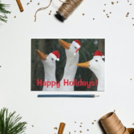 Funny White Ducks mit Red Santa Caps Feiertagspostkarte