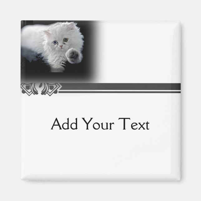 Funny White Persian Cat Magnet (Vorne)