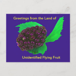 Funny & Wierd Postcard Unidentifiziertes fliegende Postkarte