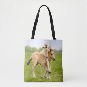 Funny Wild Konik Pferde Foals Playing Together