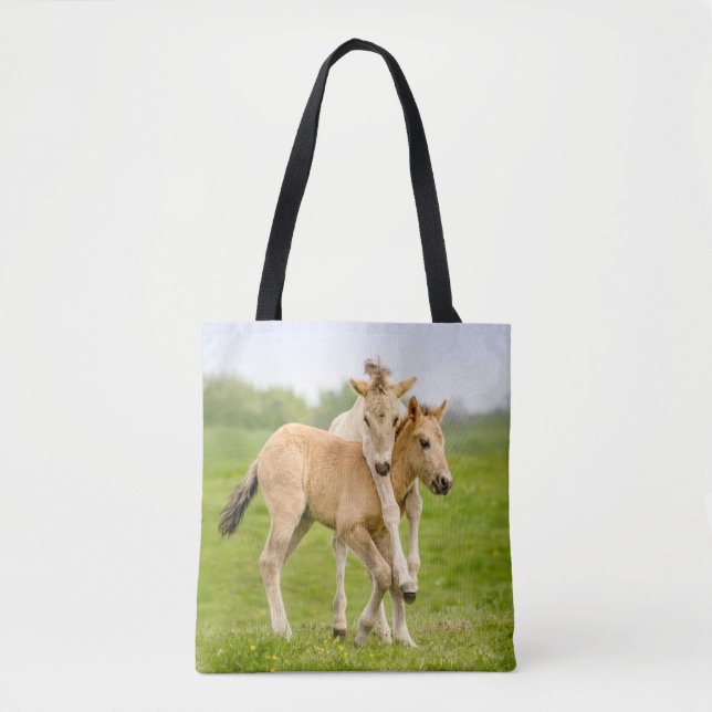 Funny Wild Konik Pferde Foals Playing Together (Vorderseite)