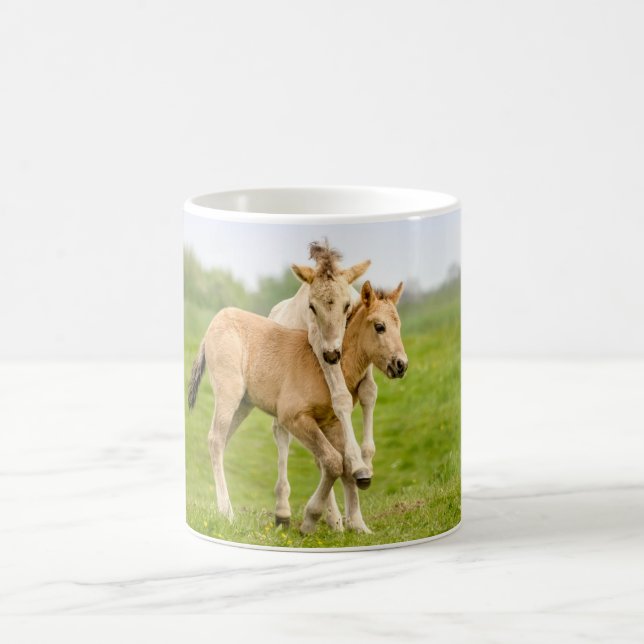 Funny Wild Konik Pferde Foals Playing Together Kaffeetasse (Mittel)