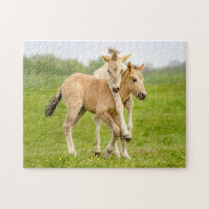 Funny Wild Konik Pferde Foals Playing Together Puzzle