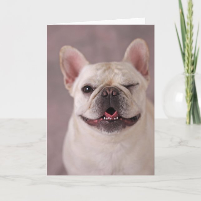 Funny winde Hund French Bulldog Karte (Vorderseite)