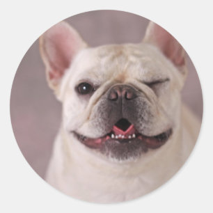 Funny winde Hund French Bulldog Runder Aufkleber