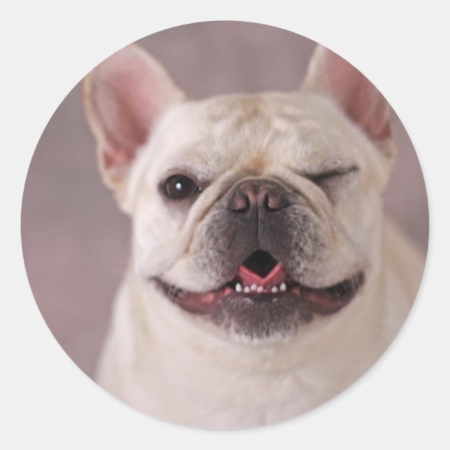 Funny winde Hund French Bulldog Runder Aufkleber (Vorderseite)