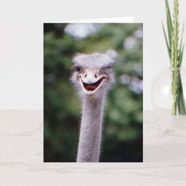Funny Winking Ostrich Grußkarte (benutzerdefinierb Dankeskarte (Vorderseite)
