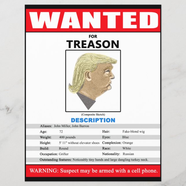 Funny Wollte Trump wegen Verrat Flyer (Vorne)
