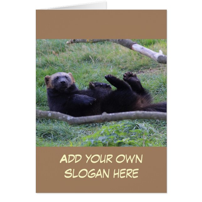 Funny Wolverine Foto für sich selbst (Vorne)