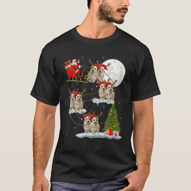 Funny Xmas Licht Tree Santa Riding Corgi Christus T-Shirt (Vorderseite)