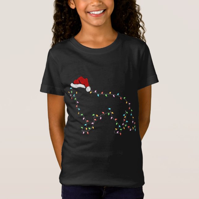 Funny Xmas Licht Weihnachtsmannmütze Border Collie T-Shirt (Vorderseite)