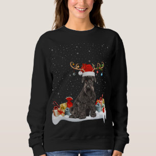Funny Xmas Lighting Rentier Weihnachtsmannmütze Sc Sweatshirt