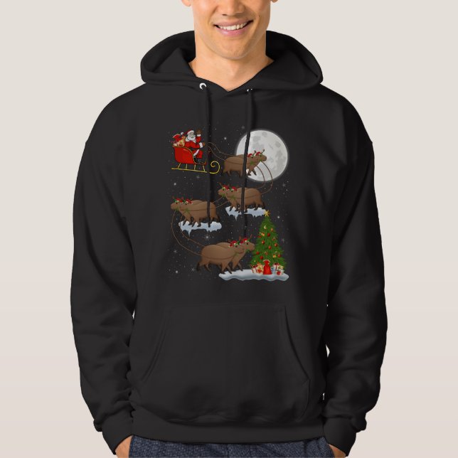 Funny Xmas Lighting Tree Sentiero in Cresta: Monte Hoodie (Vorderseite)
