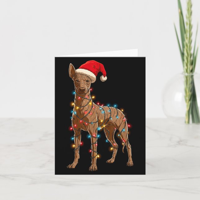 Funny Xoloitzcuintli Christmas Graphic Dog Lights  Karte (Vorderseite)