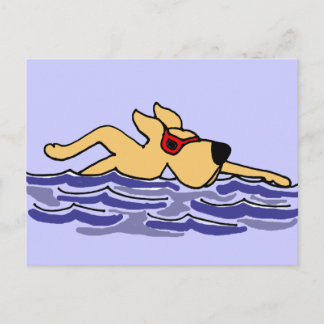 Funny Yellow Labrador Schwimmen Postkarte