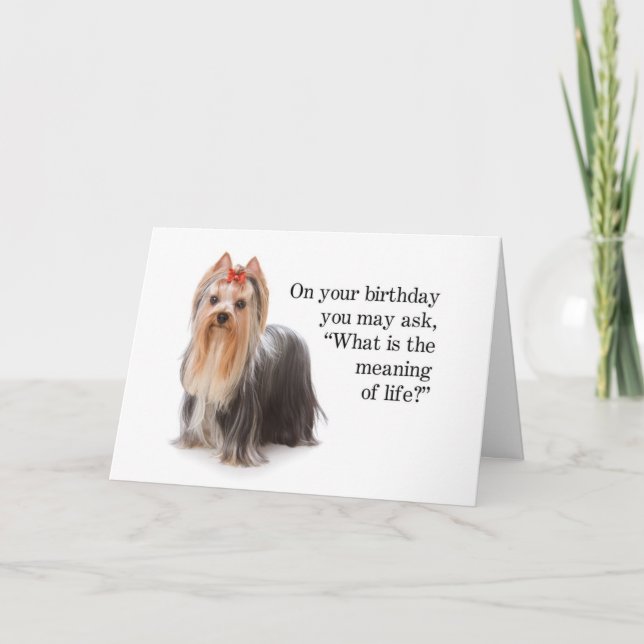Funny Yorkie Card Karte (Vorderseite)