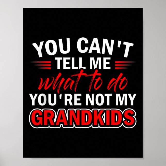 Funny You Can't Tell Me What To Do You're Not My G Poster (Vorne)