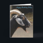 Funny "You old ziat" Happy Birthday Card Karte<br><div class="desc">Ideal für Freunde oder Familie mit einem guten Spaß,  diese Karte ist sicher ein echter Hit! Auf der Vorderseite der Karte abgebildet ist eine Ziege. " Herzlichen Glückwunsch zum Geburtstag. Du alte Ziege!" Ist die vollständige Meldung auf dieser Karte.</div>