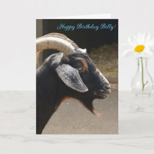 Funny "You old ziat" Happy Birthday Card Karte