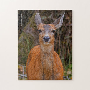 Funny Young Blacktail Deer lächelt bei Fotograf Puzzle