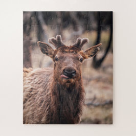 Funny Young Bull Elk Wild Animal Puzzle