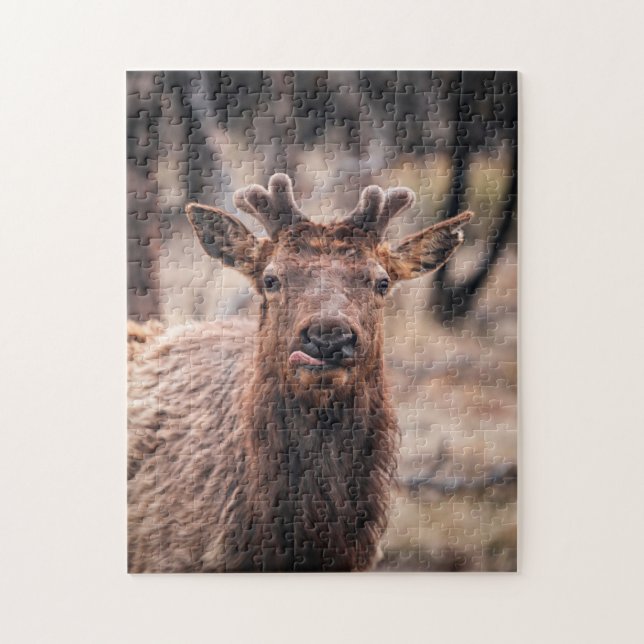 Funny Young Bull Elk Wild Animal Puzzle (Vertikal)
