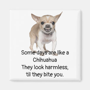 Funny Zitat über das Leben mit Chihuahua Dog Magnet