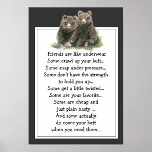 Funny Zitat über Freunde sind wie Underware Poster