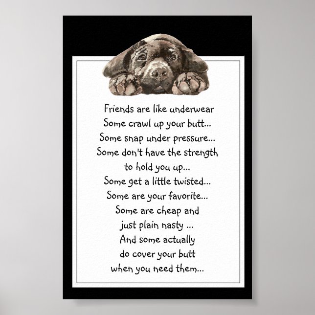 Funny Zitat über Freunde sind wie Unterwäsche Poster (Vorne)