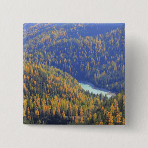 Fuorn Durchlauf Button