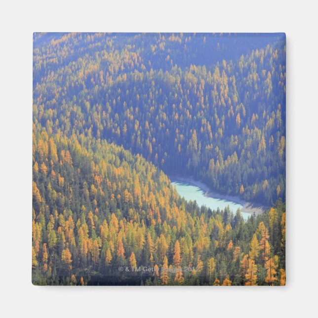 Fuornpass Magnet (Vorne)