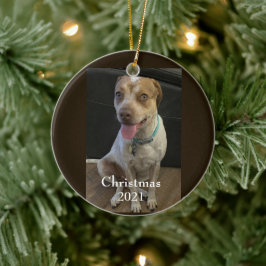 Fur Baby Christmas Ornament
