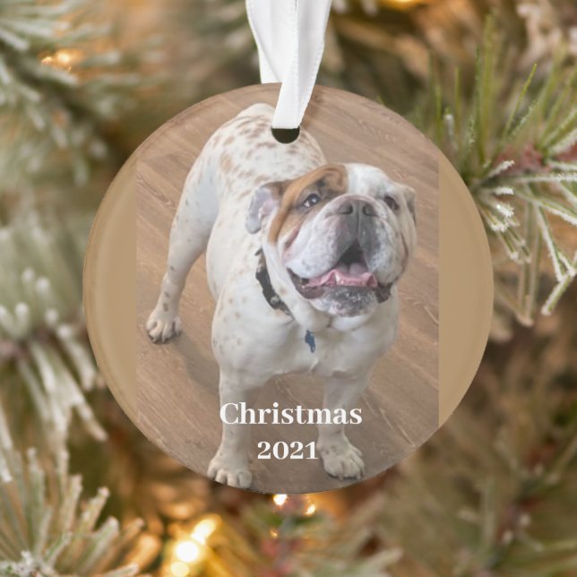 Fur Baby Christmas Ornament (Baum)