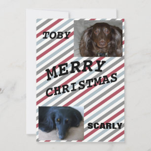 Fur Babys Weihnachts-Cheer-Weihnachtskarte Feiertagskarte