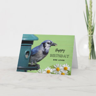 Für Bird Lover Birthday Blue Jay am Feeder Karte